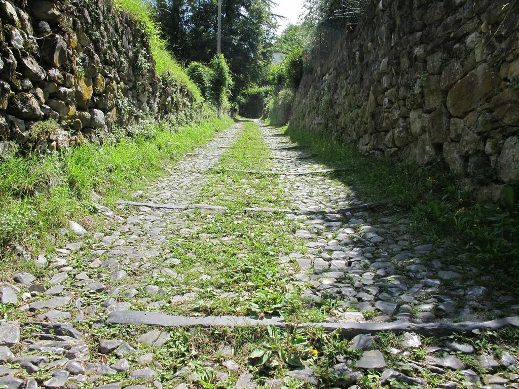 Agriturismo Madonna Dei Ceppi Lezzeno Extérieur photo