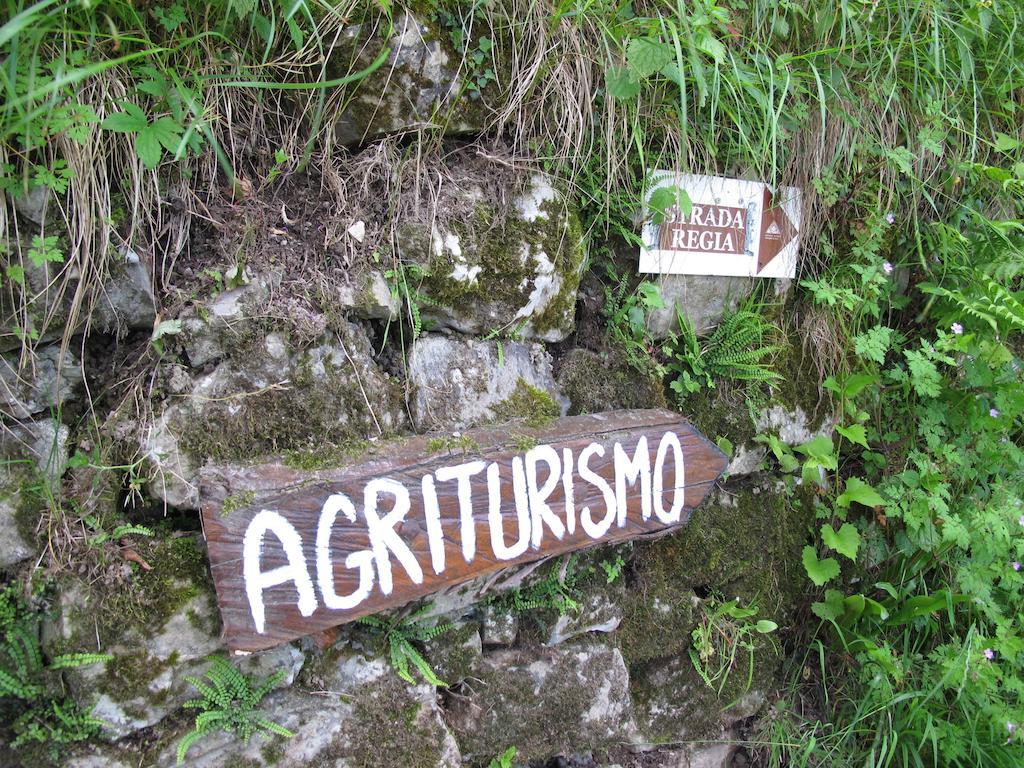 Agriturismo Madonna Dei Ceppi Lezzeno Extérieur photo
